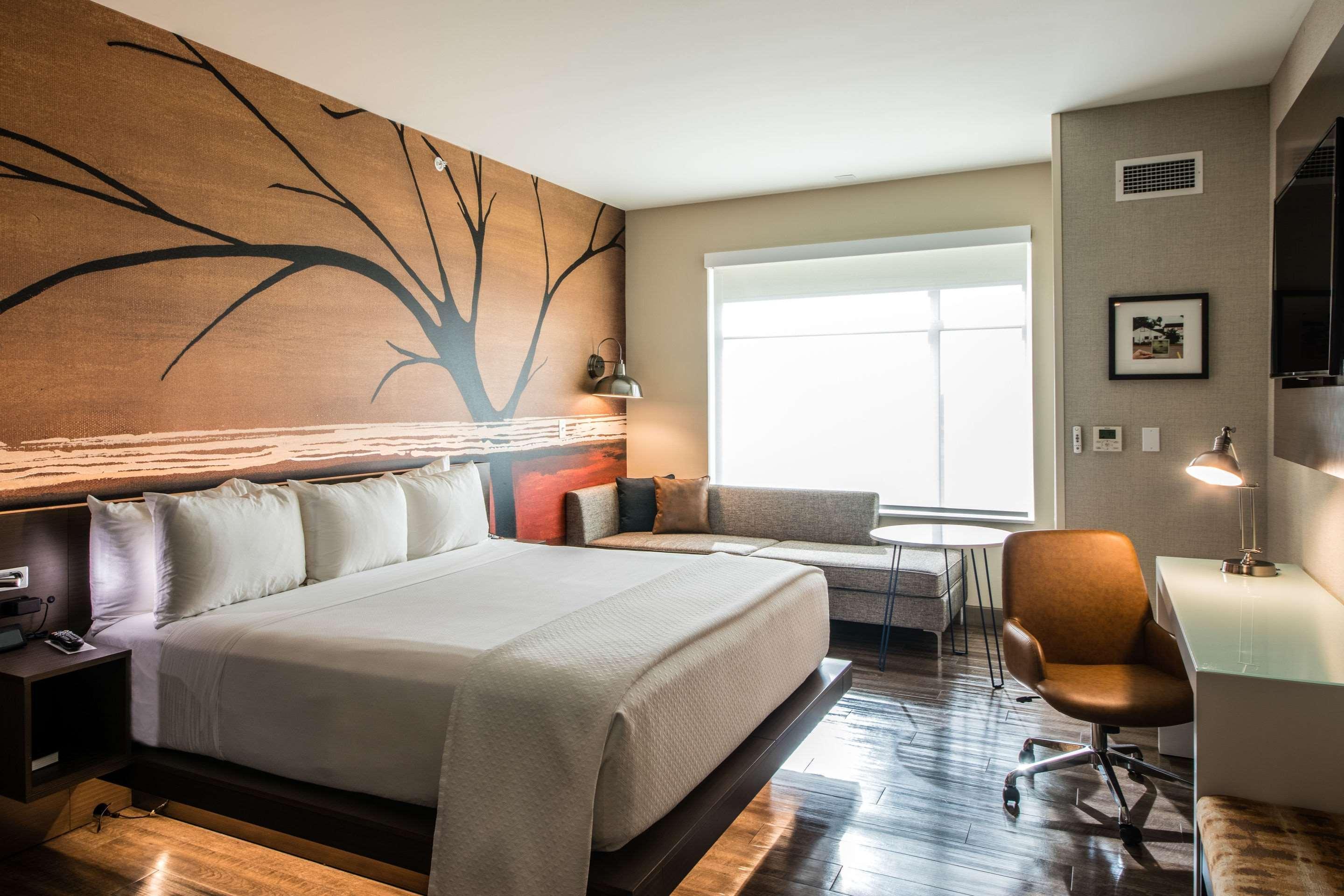Cambria Hotel Mcallen Convention Center Екстер'єр фото