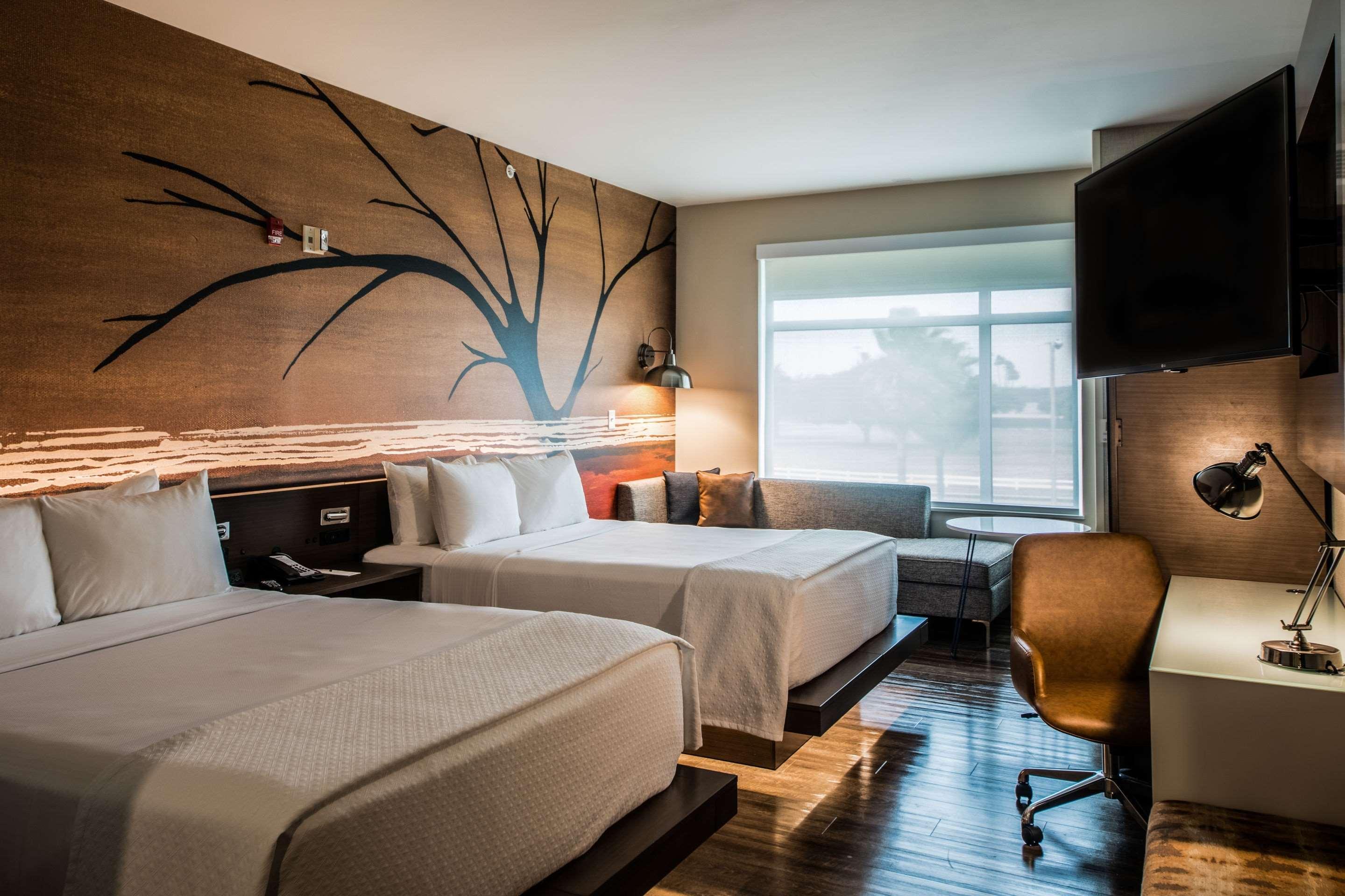 Cambria Hotel Mcallen Convention Center Екстер'єр фото